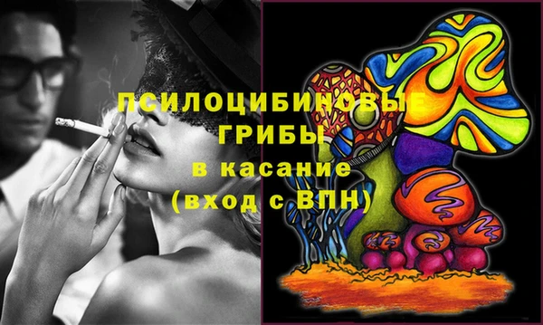 ПСИЛОЦИБИНОВЫЕ ГРИБЫ Балабаново