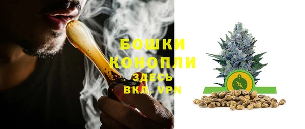 ПСИЛОЦИБИНОВЫЕ ГРИБЫ Балабаново