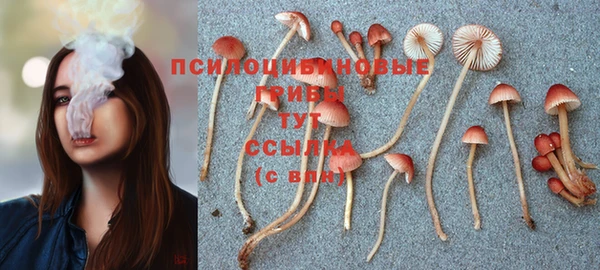 ПСИЛОЦИБИНОВЫЕ ГРИБЫ Балабаново