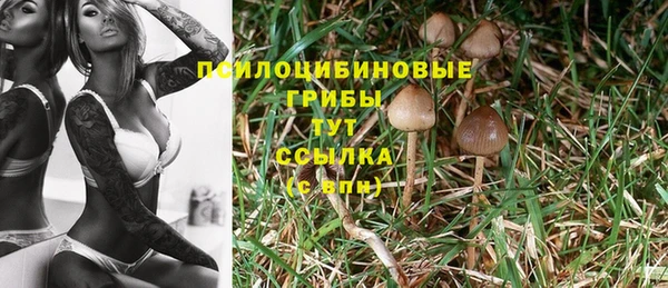 гашиш Баксан
